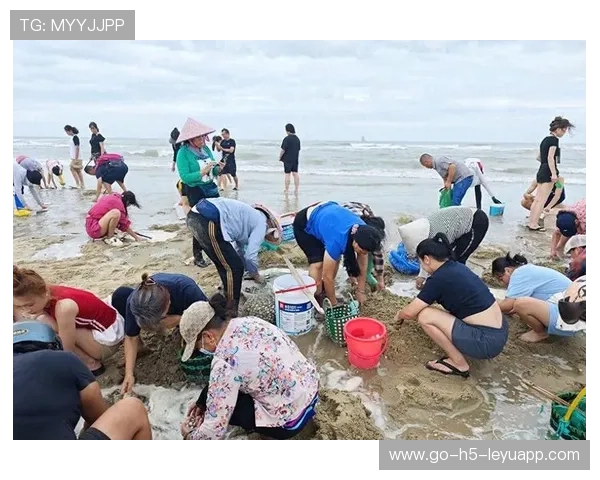 台风带来惊喜,惠州海滩海鲜爆棚,惠州台风厉害吗